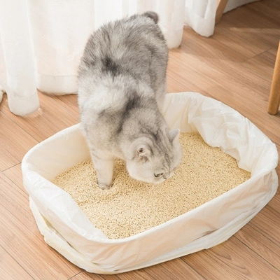 뚱뚱한 고양이 쓰레기 덩어리 덩어리 크기