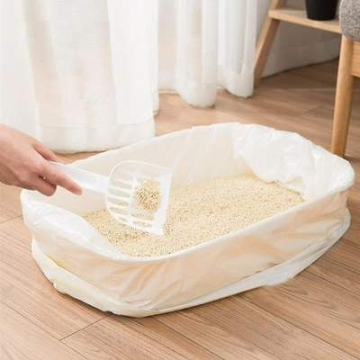 뚱뚱한 고양이 쓰레기 덩어리 덩어리 크기
