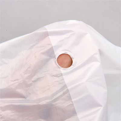 가정용 건조식품 흡수성 뚫린 맞춤식 식품 패키지 자체 인쇄 플라스틱 PE 가방